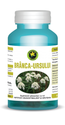 Branca Ursului - Hypericum