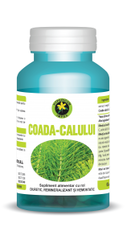 Coada Calului - Hypericum