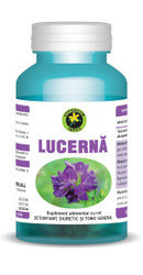 Lucerna - Hypericum