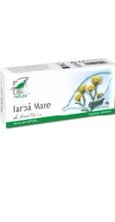 Iarba Mare - Medica