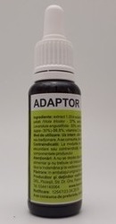 Adaptor - Laborator Homeogenezis