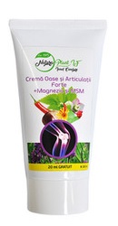 Crema Oase si Articulatii Forte  Natura Plant