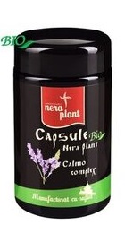 Calmo Complex - Nera Plant