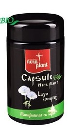 Laxo Complex - Nera Plant