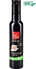 Sirop Echinofruct Forte - Nera Plant