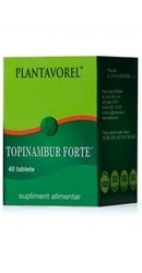 Topinambur Forte - Plantavorel