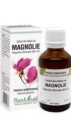 Extract din boboci de MAGNOLIE  PlantExtrakt