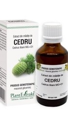 Extract din mladite de CEDRU - PlantExtrakt
