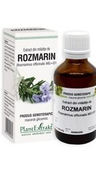 Extract din mladite de rozmarin