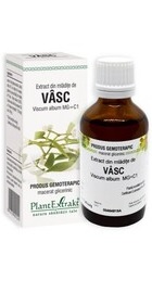 Extract din mladite de VASC - PlantExtrakt