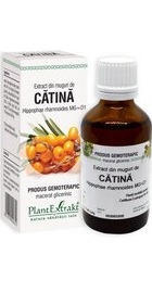 Extract din muguri de CATINA ALBA - PlantExtrakt