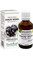 Ceai Coacaz-Negru Frunze - 100g Hypericum Impex