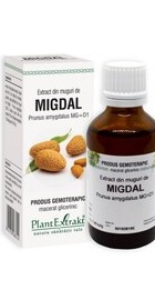 Extract din muguri de MIGDAL - PlantExtrakt