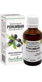 Extract din muguri de PORUMBAR - PlantExtrakt