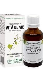 Extract din muguri de Vita-de-vie