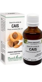 Extract din seminte de CAIS – PlantExtrakt