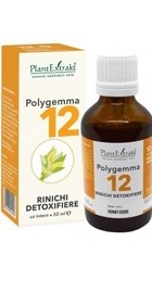 Polygemma 12 Rinichi detoxifiere - PlantExtrakt