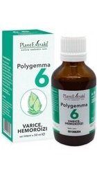 Polygemma 6 - Varice, hemoroizi - PlantExtrakt