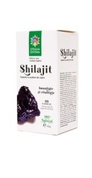 Shilajit - Santo Raphael