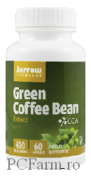 Green Coffee Bean 