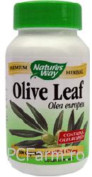 Olive Leaf - Frunza de maslin