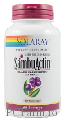 Sambuactin Black Elderberry 