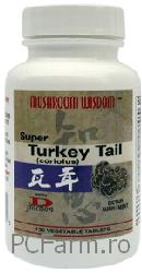 Super Turkey Tail - Ciuperca Corolius versicolor
