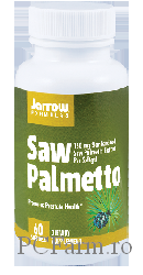 Saw Palmetto 