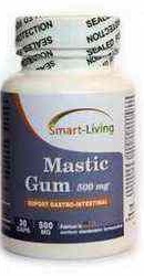 Gastro Fix - Mastic Gum