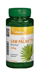 Extract Palmier pitic - Vitaking