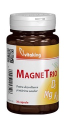 MagneTrio - Vitaking