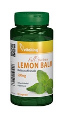 Roinita Lemon Balm 500mg - Vitaking