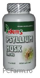 Psyllium husk