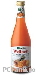 Wellness-Drink - Biotta