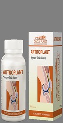 Artroplant - Dacia Plant