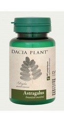 Astragalus - Dacia Plant