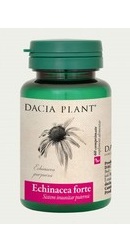 Echinacea forte - Dacia Plant