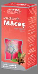 Mladite de maces - Dacia Plant