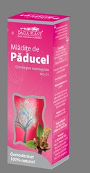 Mladite de paducel - Dacia Plant