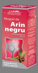 Muguri de arin negru - Dacia Plant