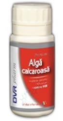 Alga calcaroasa - DVR Pharm