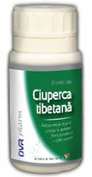 Ciuperca tibetana - DVR Pharm