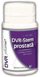 dvr stem prostata)