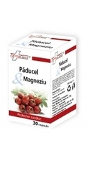 Paducel si Magneziu - FarmaClass 	