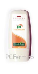 Gel cu Echinacea