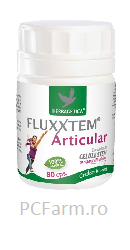 Fluxxtem Articular - Herbagetica