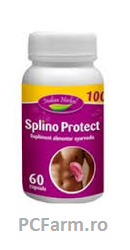 Splino Protect