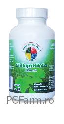 Ginkgo Biloba - Life Impulse