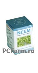 Neem