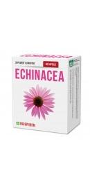Echinacea  - Parapharm